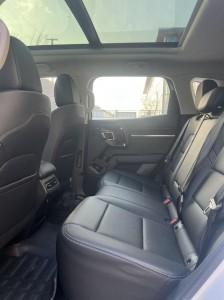 Haval H-Dog (Big Dog PLUS)