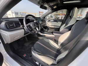 BYD Qin PLUS DM