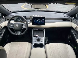 BYD Qin PLUS EV