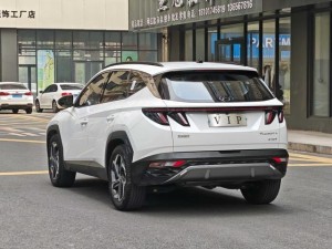 Hyundai Tucson L (Tucson)