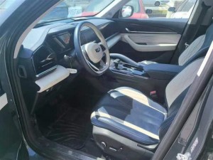Geely Monjaro (Xingyue L)
