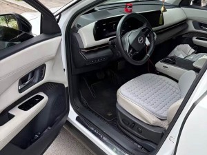 Nissan ARIYA