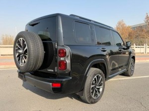 Haval H9