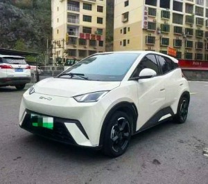 BYD Seagull