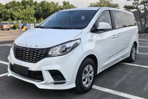 Maxus G10