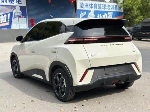 BYD Seagull