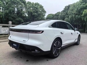 Voyah Passion EV