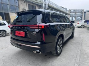 Exeed VX (The starry road embraces the moon)