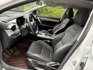 Geely Coolray SX11 (Binyue)