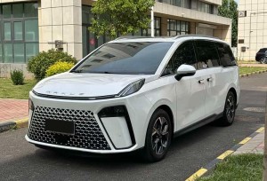 Maxus G70
