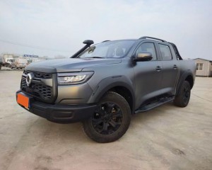 Great Wall Poer (gun)