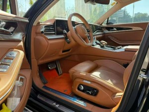 Hongqi H9
