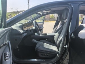 Voyah Passion EV