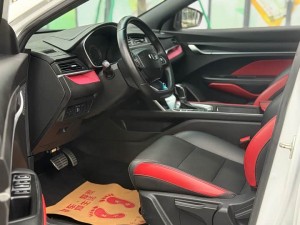 Geely Binrui