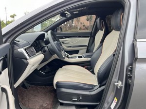 BYD Song PLUS EV