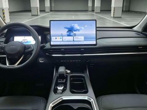 Geely Okavango (Haoyue L)