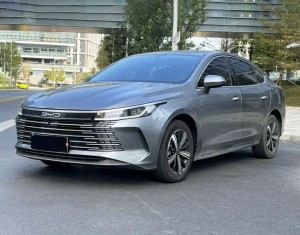 BYD Destroyer 05