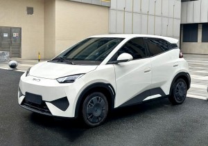 BYD Seagull