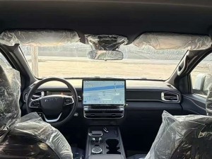 Chery Rely R08