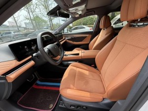 Voyah Passion PHEV
