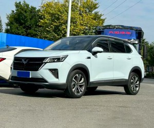Wuling Asta (Star)