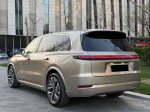 Li L9 (Ideal L9)