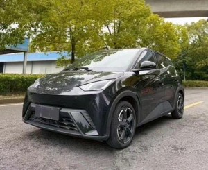 BYD Seagull