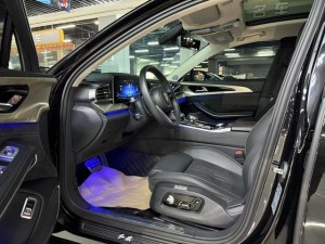 Hongqi H9