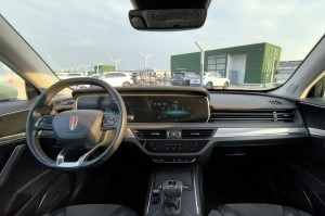 Hongqi HS5