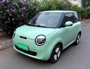 Changan Lumin