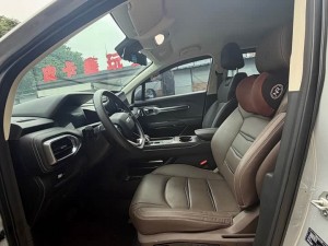 Geely Radar King Kong PHEV