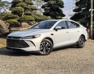 BYD Qin PLUS DM