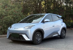 BYD Seagull