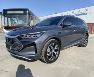 BYD Tang DM