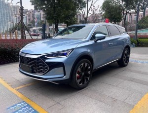 BYD Tang DM