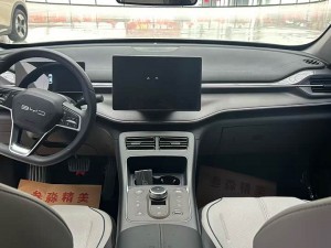 BYD Destroyer 05