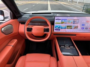 Lynk & Co 900