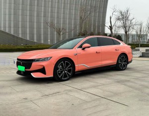 Voyah Passion PHEV