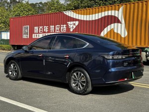 BYD Destroyer 05