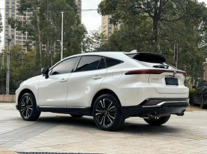 Toyota Venza (Wei Sa)
