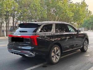 Hongqi E-HS9
