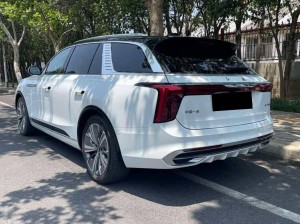 Hongqi E-HS9