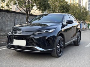 Toyota Venza (Wei Sa)