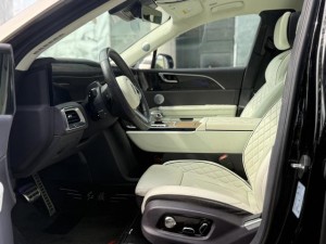 Hongqi E-HS9
