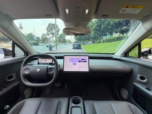 NIO Firefly