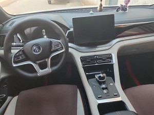BYD Song PLUS DM