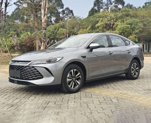 BYD Qin PLUS DM