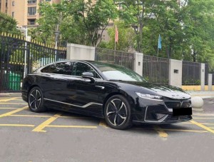 Voyah Passion EV