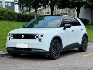 NIO Firefly
