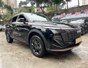 Haval Shenshou (Beast)